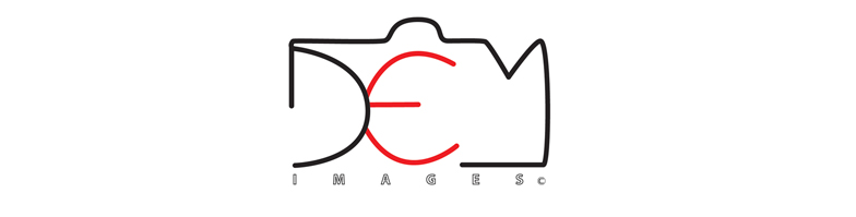Dem-image-logo